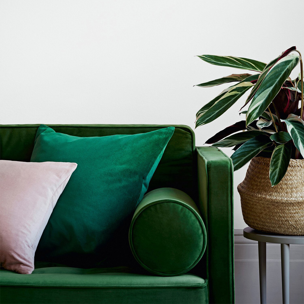 Crown Easyclean Chalky White Matt Emulsion Multisurface Paint 2.5L Image 4