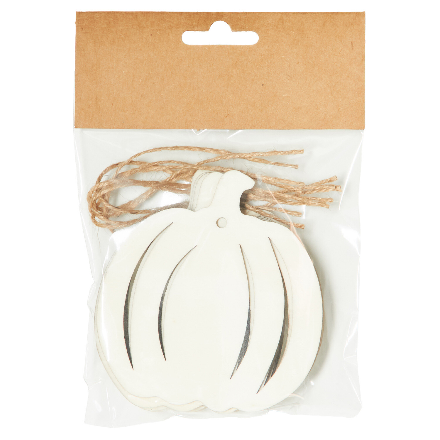 Pack of 6 Hanging Autumn Shapes Image 8