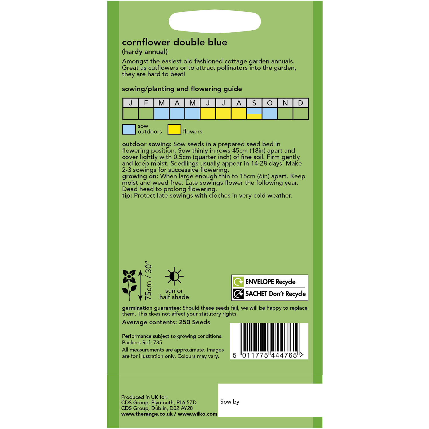 Wilko Double Blue Cornflower Seeds Image 2