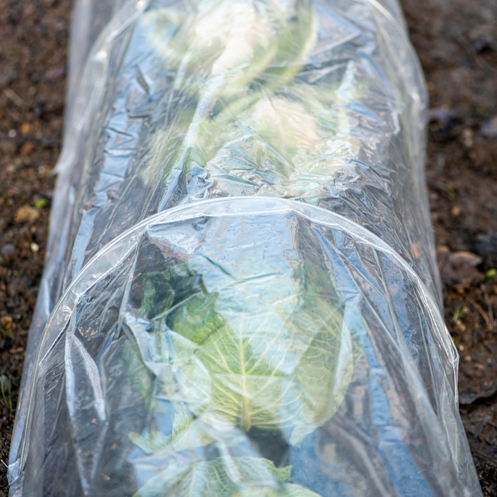 Garden Gear PE Greenhouse Tunnel 1.4 x 10ft 2 Pack Image 4