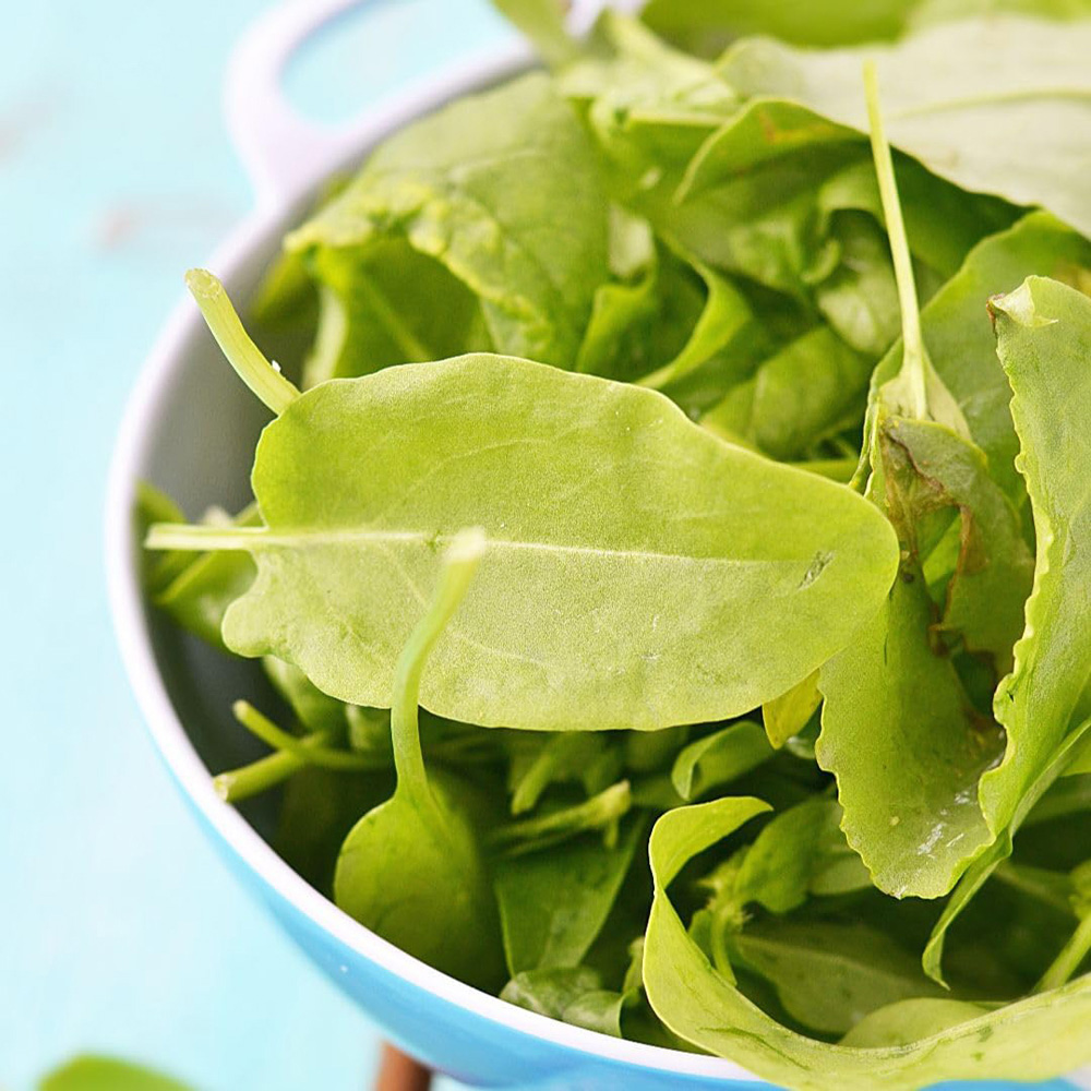 Thompson and Morgan Herb Sorrel Volare Seed Packet Image 2