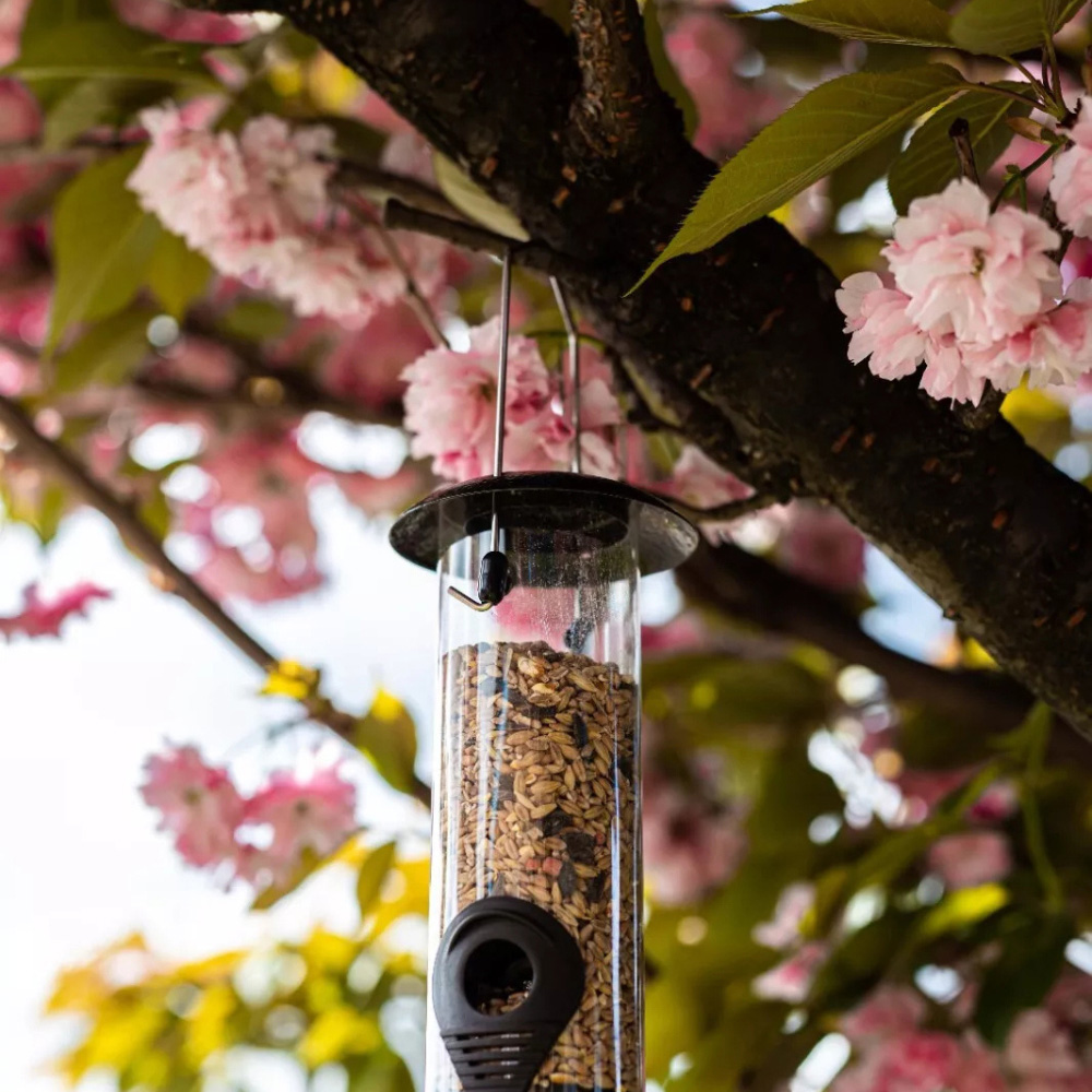 Marco Paul Wild Bird Hammertone Seed Feeder 3 Pack Image 5