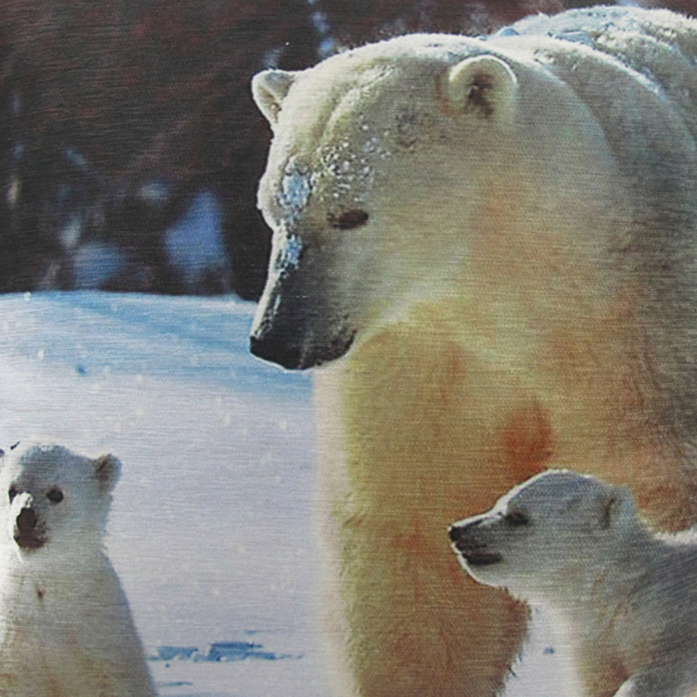 Intimates Polar Bear Filled Cushion 43 x 43cm 2 Pack Image 2