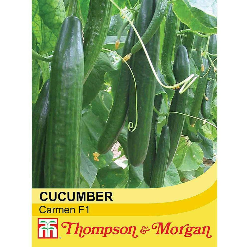 Thompson & Morgan F1 Hybrid Cucumber Carmen Seed Packet Image 2