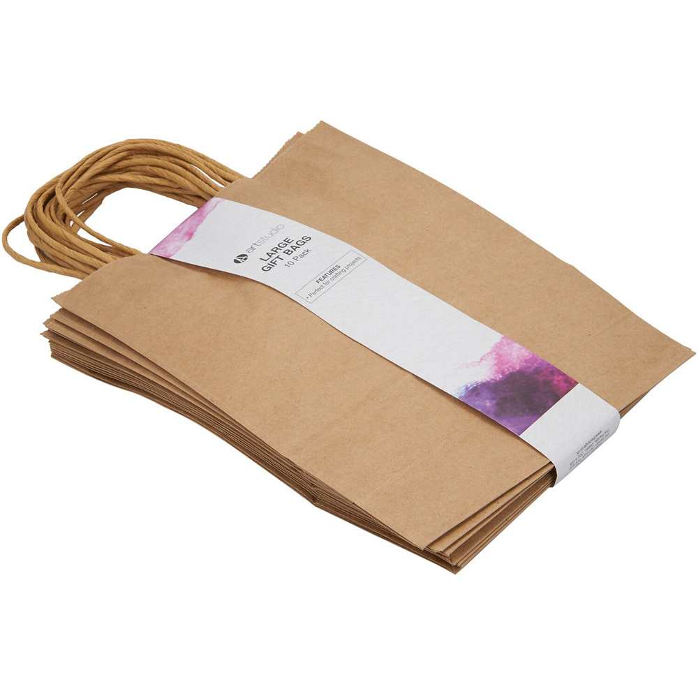 Single Art Studio Gift Bag 10 Pack in Assorted styles Image 1