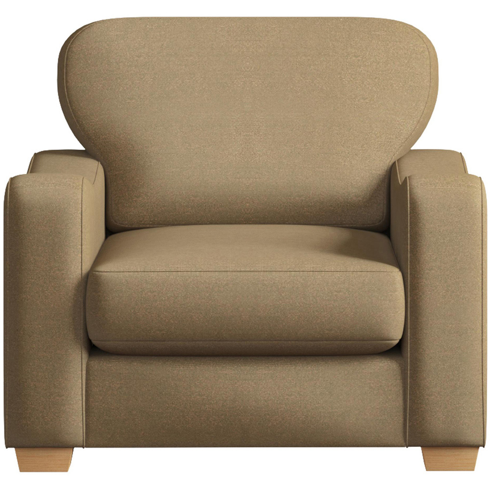 Theadford Mink Plush Velvet Fixed Back Armchair Image 2