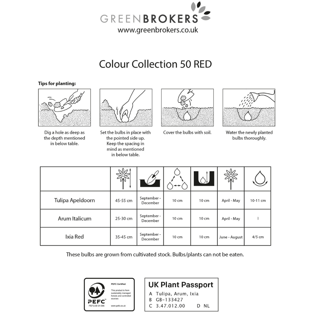 GreenBrokers Dutch Red Colour Bee Friendly Mixed Collection Planting Bulb 50 Pack Image 3