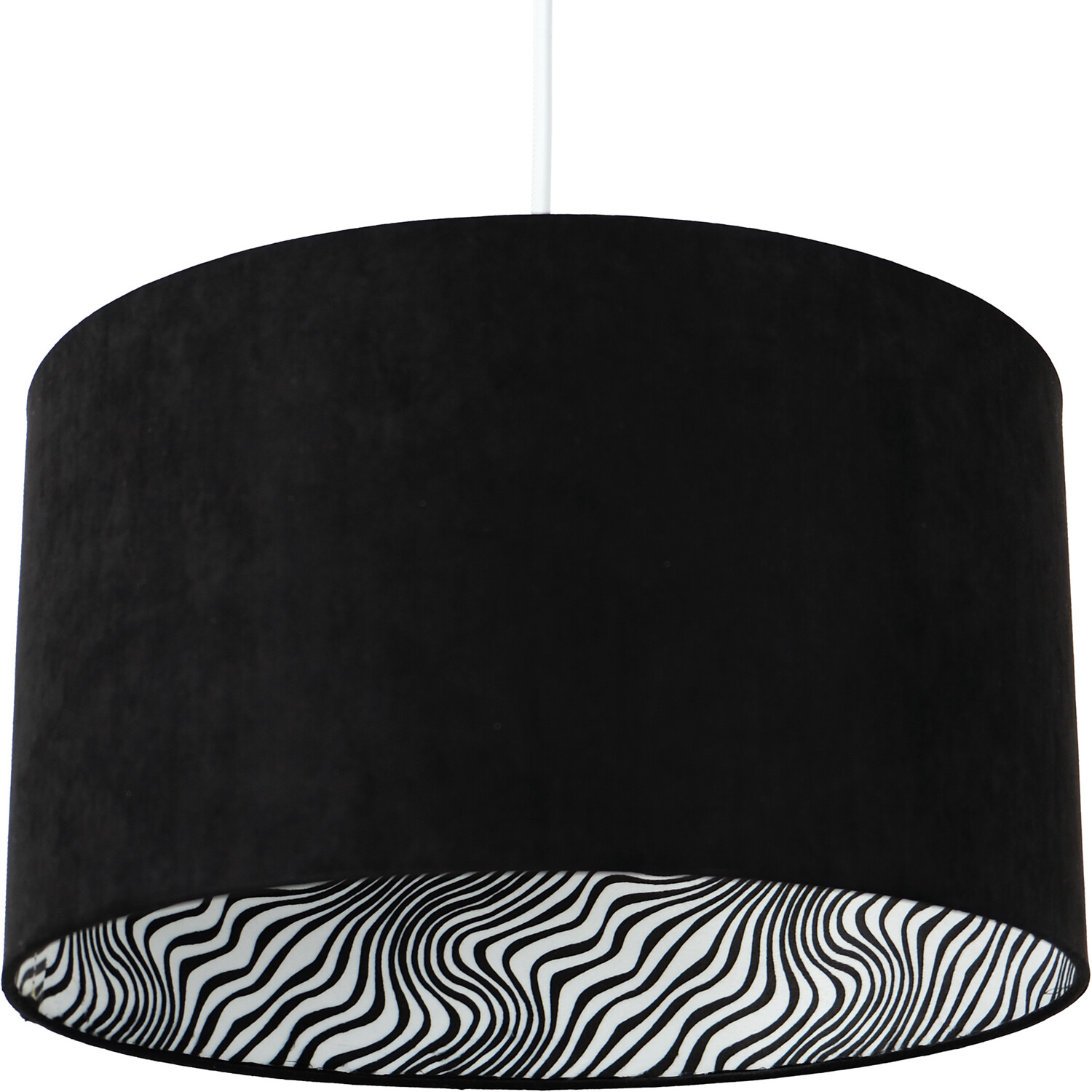 Black Zebra Shade - Black and White Image 6