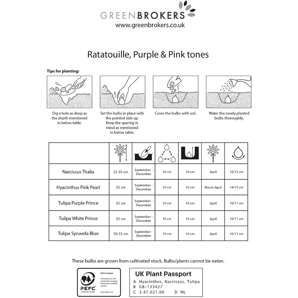GreenBrokers Dutch Ratatouille Purple and Pink Tones Mixed Planting Bulb 30 Pack Image 3