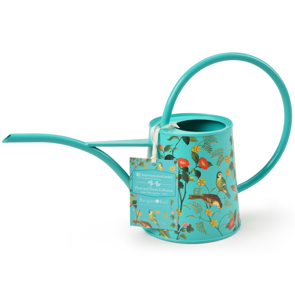 Burgon & Ball Flora and Fauna Galvanised Steel Indoor Watering Can 1L Image 3