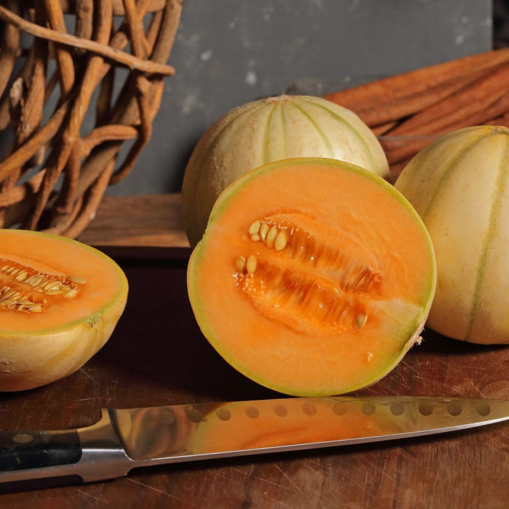 Thompson and Morgan Melon France Miniature Seed Packet Image 2