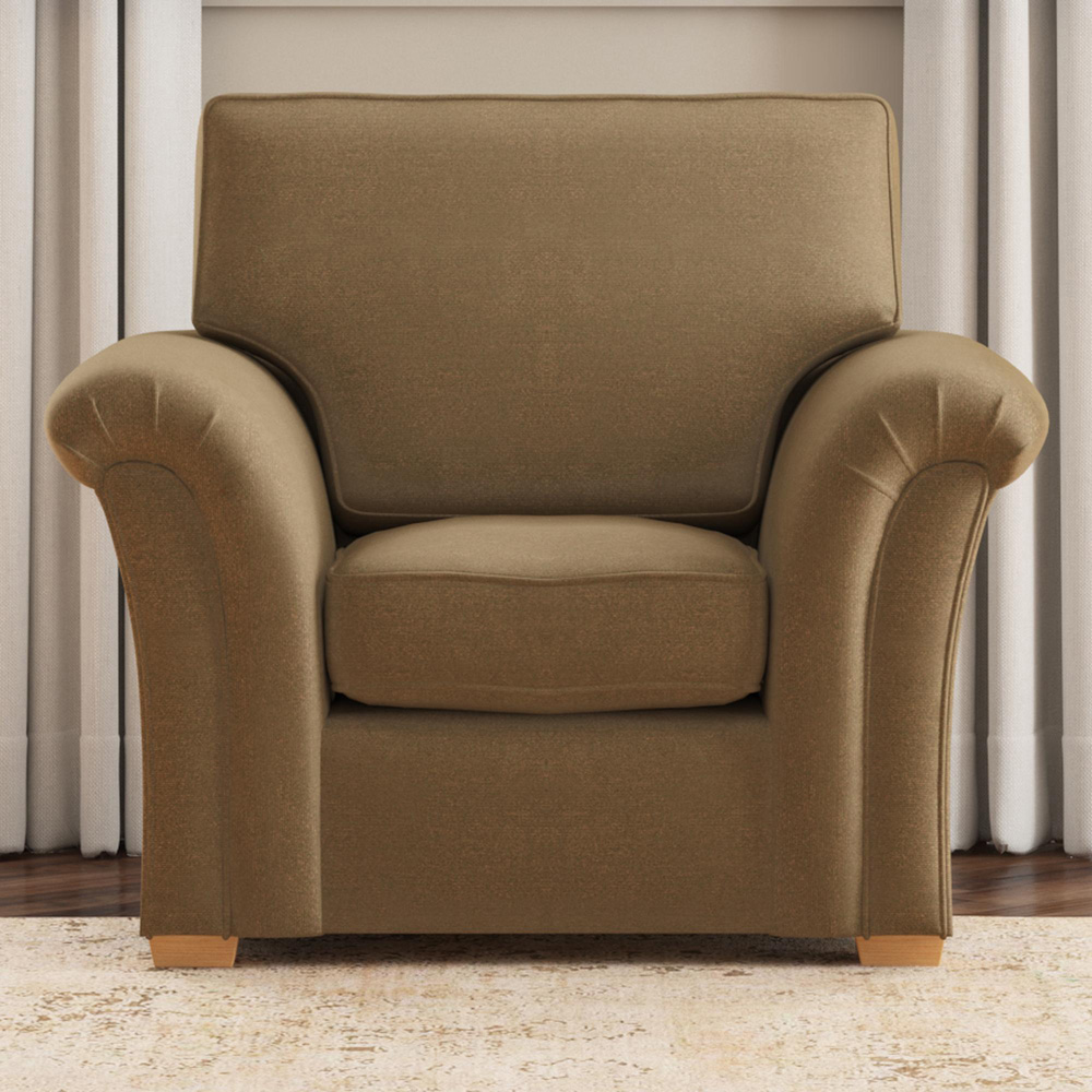 Castleacre Mink Plush Velvet Fixed Back Armchair Image 5