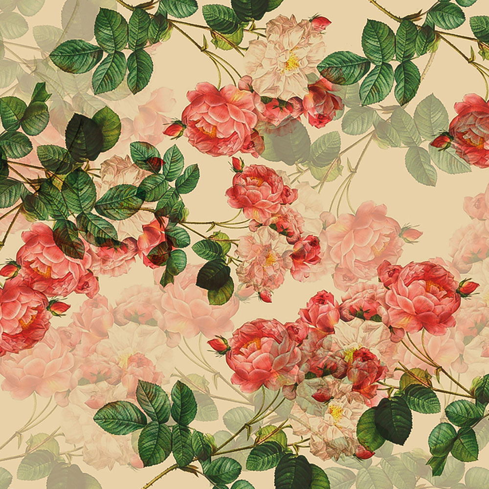 Origin Murals Classic Rose Design Multicolour Wall Mural Image 2