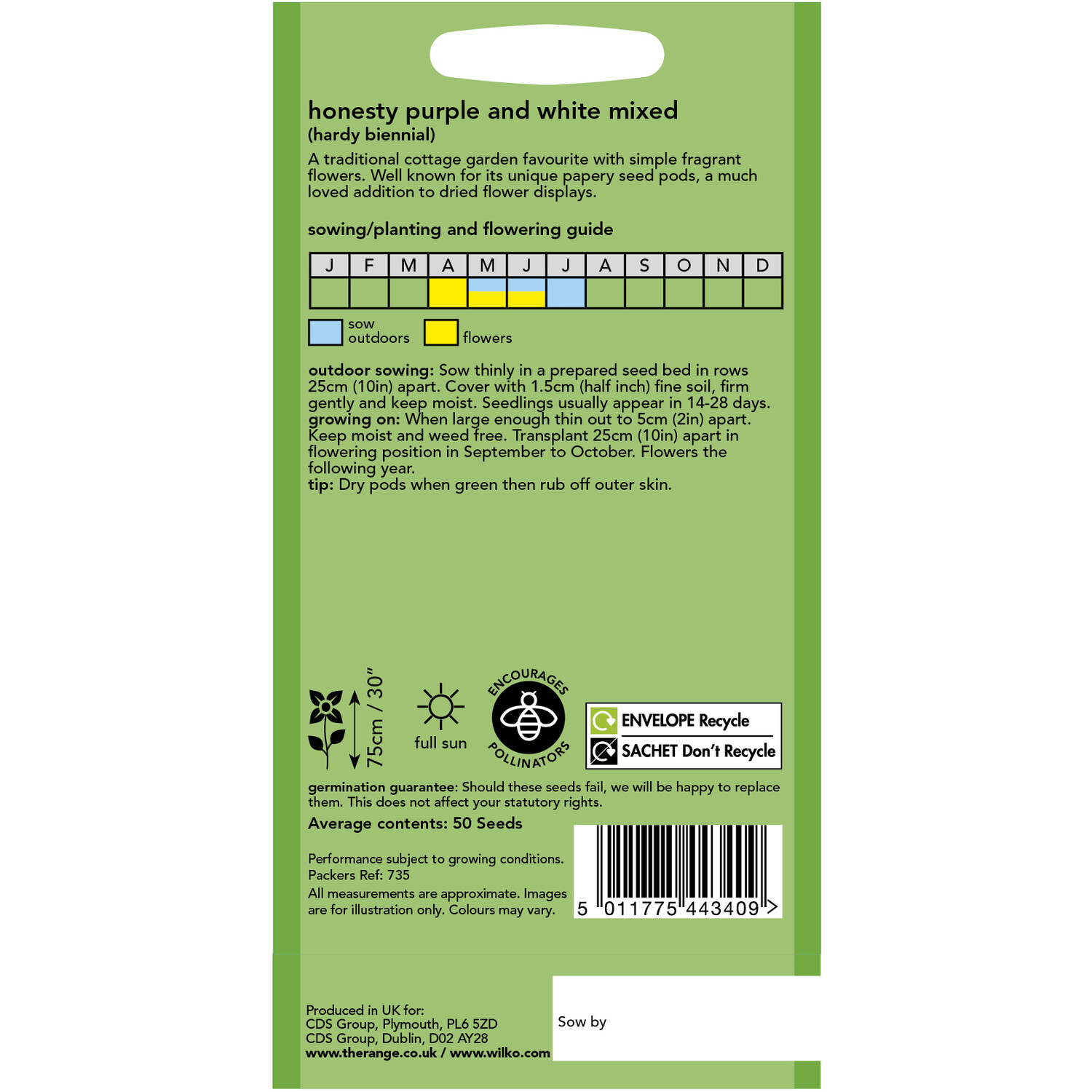 Wilko Purple and White Honesty Mixed Seeds Image 2