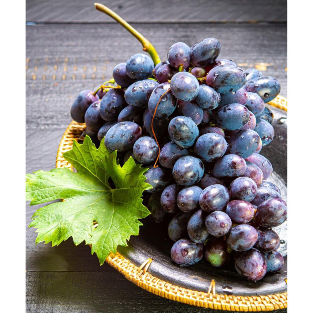 Thompson and Morgan Grape Vitis Muscat Bleu Plant Pot 3L 2 Pack Image 2