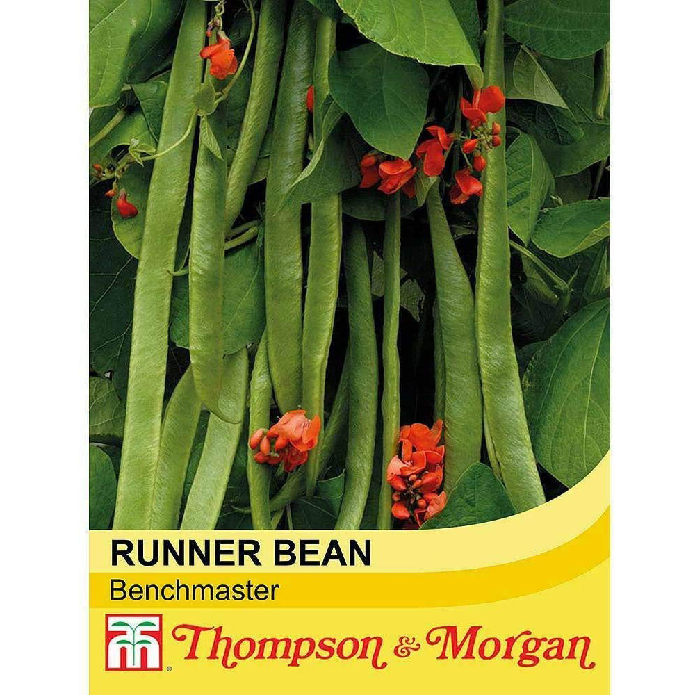 Thompson & Morgan Runner Bean Benchmaster Seed Packet Image 3