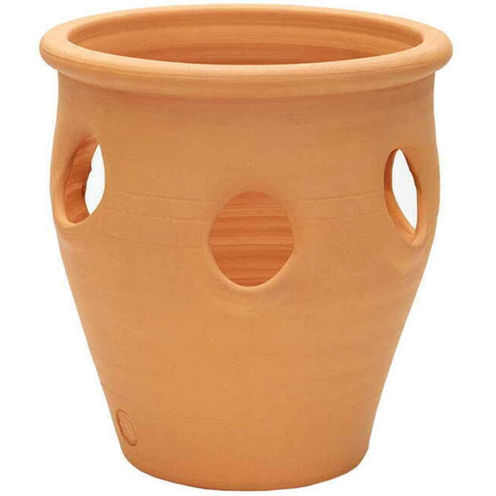 APTA Terracotta Outdoor Herb Planter 20cm Image 1