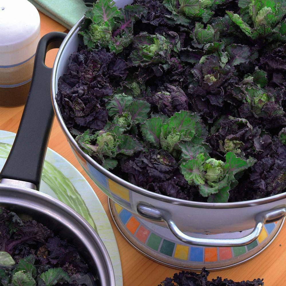 Thompson & Morgan Kalettes Garden Mix F1 Seeds Image 2