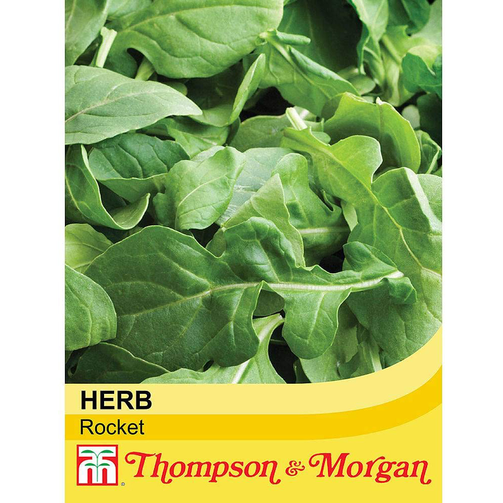 Thompson and Morgan Herb Rocket Seeds Image 2