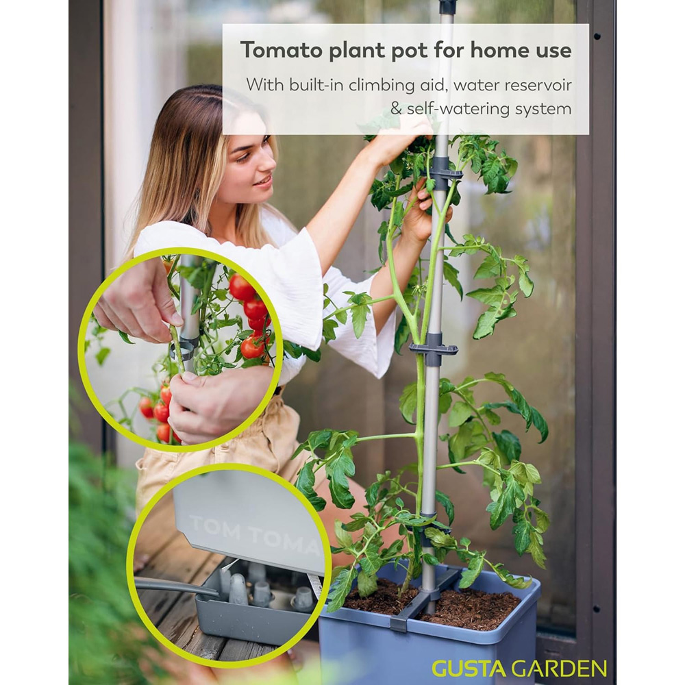 Gusta Garden Tom Tomato Blue Tomato Pot with Water Tank Image 2