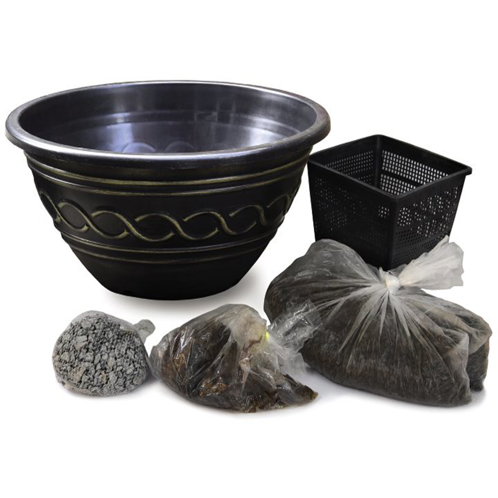 Thompson and Morgan Trio Waterlily Pond Basket and Black and Gold Patio Pond Pot Image 3