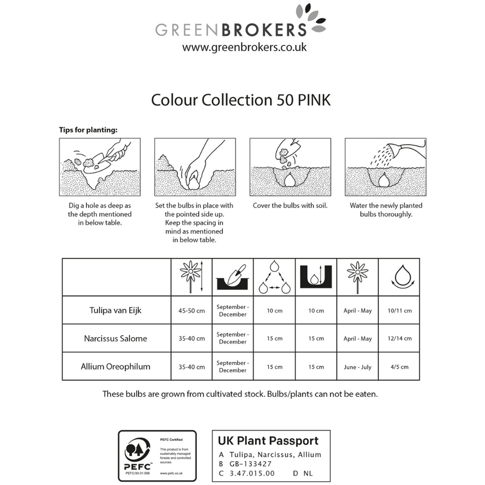 GreenBrokers Dutch Pink Colour Bee Friendly Mixed Collection Planting Bulb 50 Pack Image 3