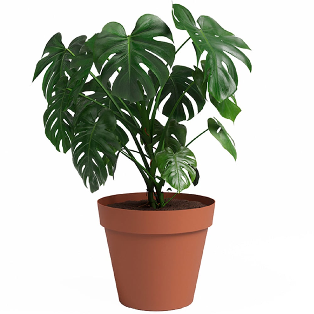 Artevasi Capri Terracotta Round Plastic Plant Pot 30cm Image 2