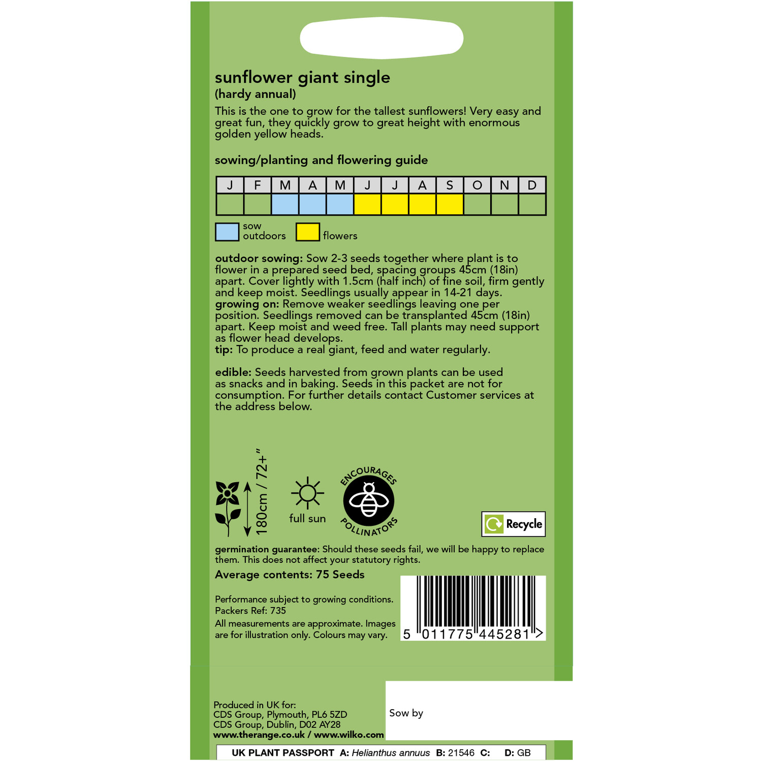 Wilko Giant Sunflower Single Seeds Image 2