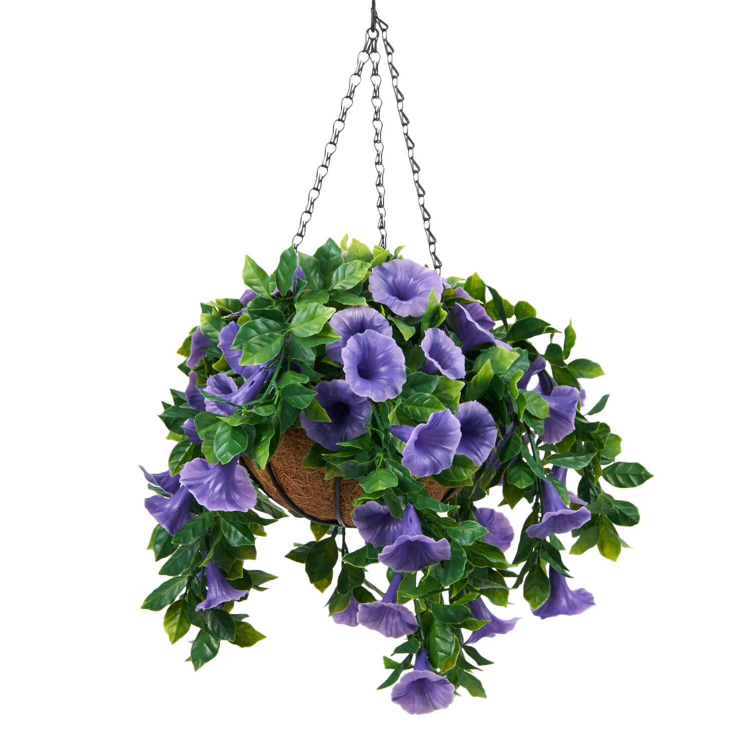 Petunias Hanging Basket - Purple Image 1