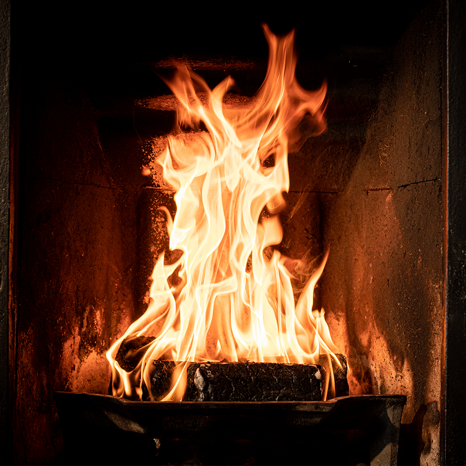 Pack of 12 Shimada Heat Logs Image 6