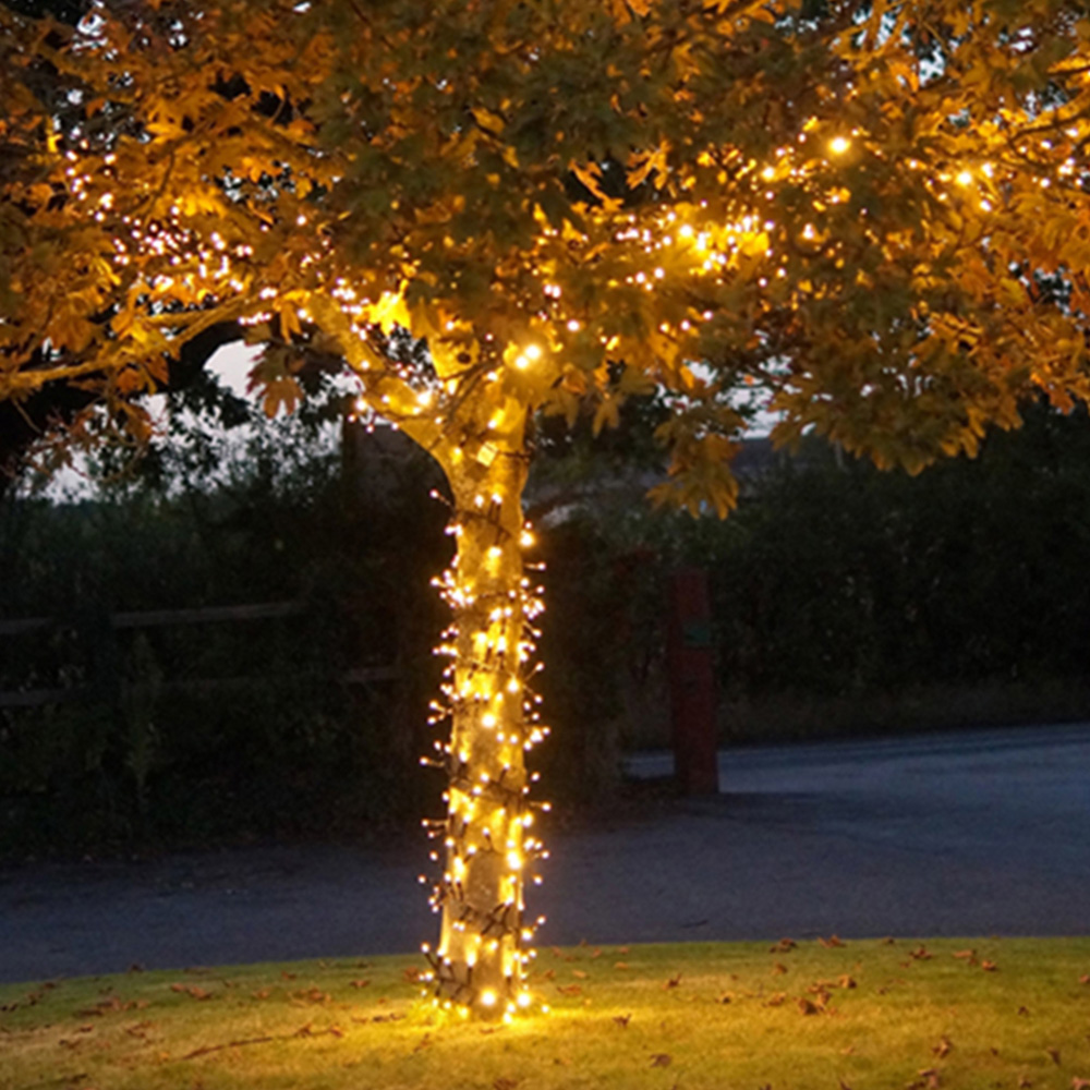 Eagle Connect 250 Gold LED Cluster Light 5m Image 7