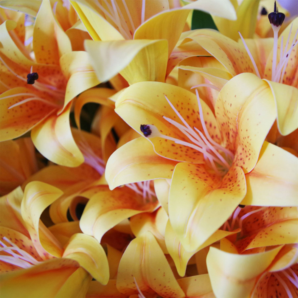Leaf Yellow Lily Stem Artificial Flower 60cm 12 Pack Image 7