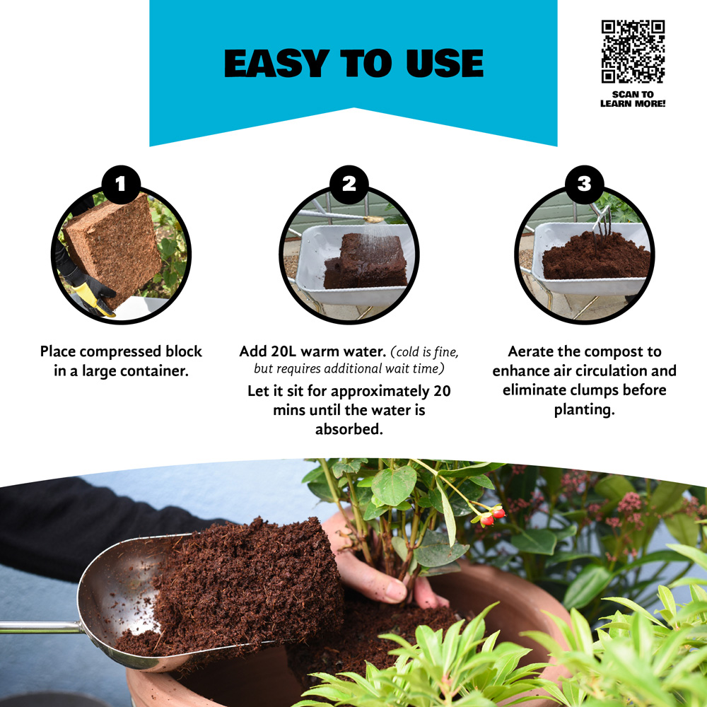 Coco & Coir Little Big Compost Seed and Cutting Compost 75L Image 5