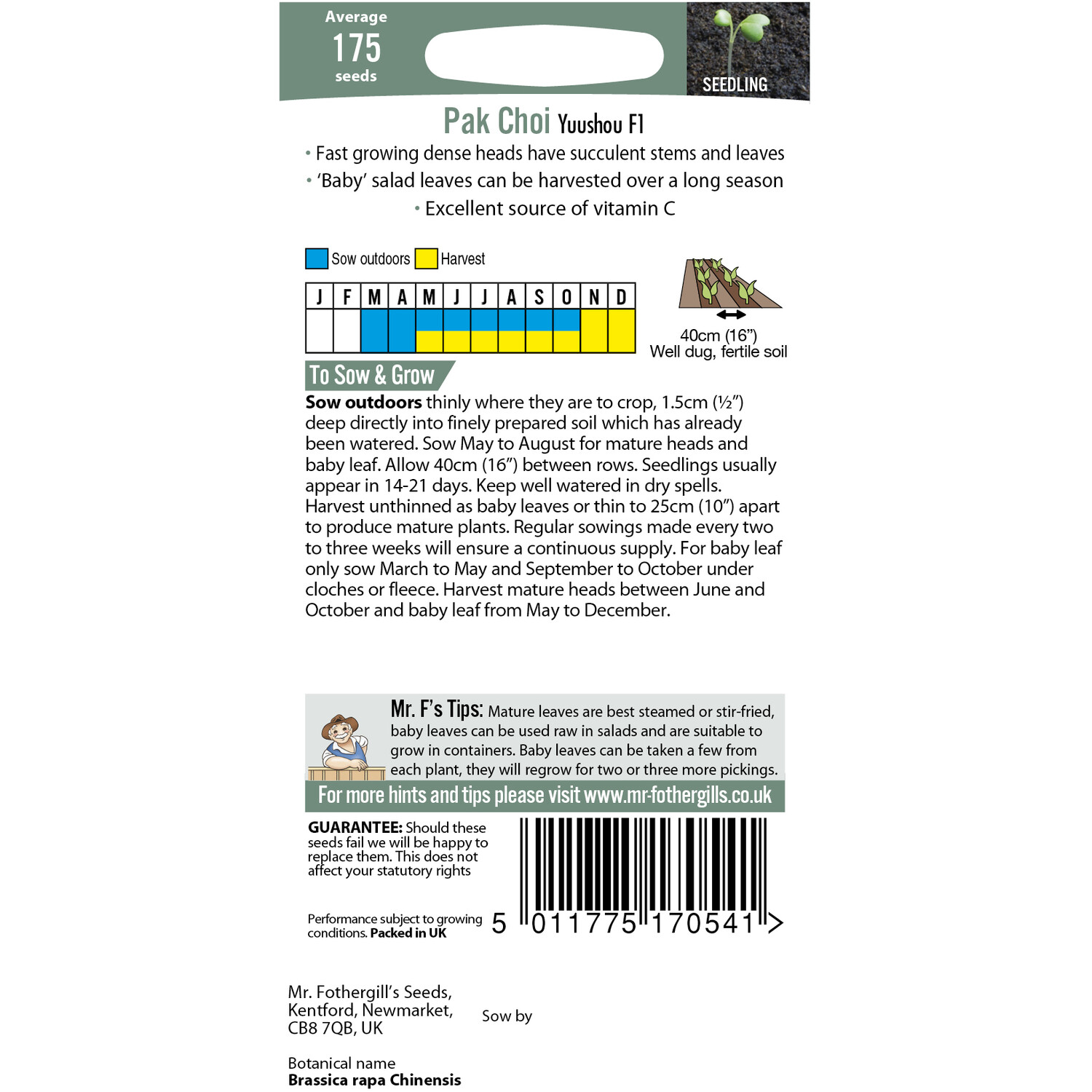 Yuushou F1 Pak Choi Seeds Image 2