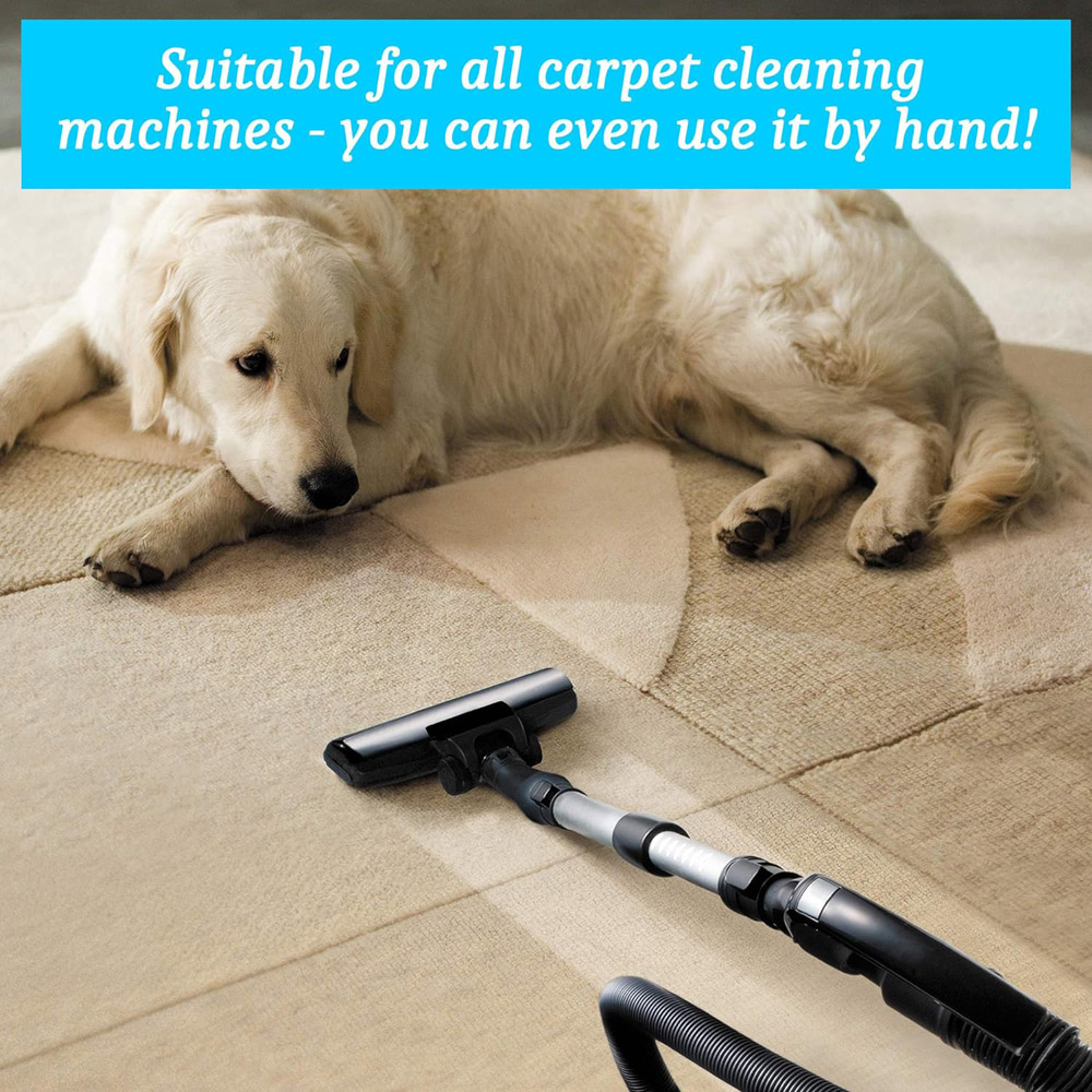 Homefront Pet Carpet Shampoo 5L Image 3