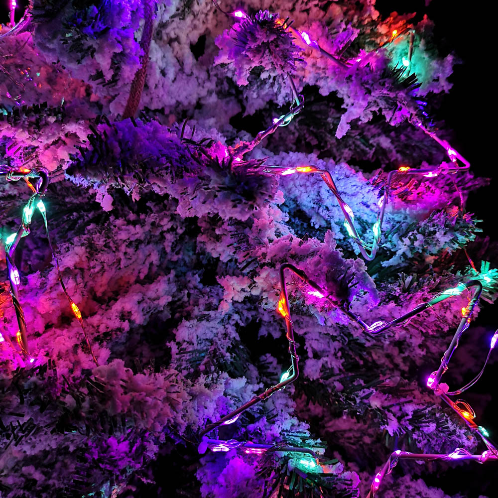 Samuel Alexander 227 Rainbow LED Microbrights String Lights Set of 10 Image 2