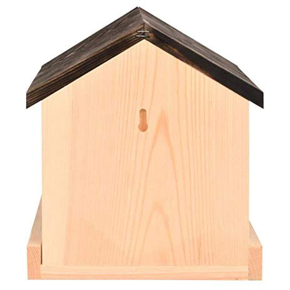 Fallen Fruits Wall Mounted Wooden Bird Table Image 3