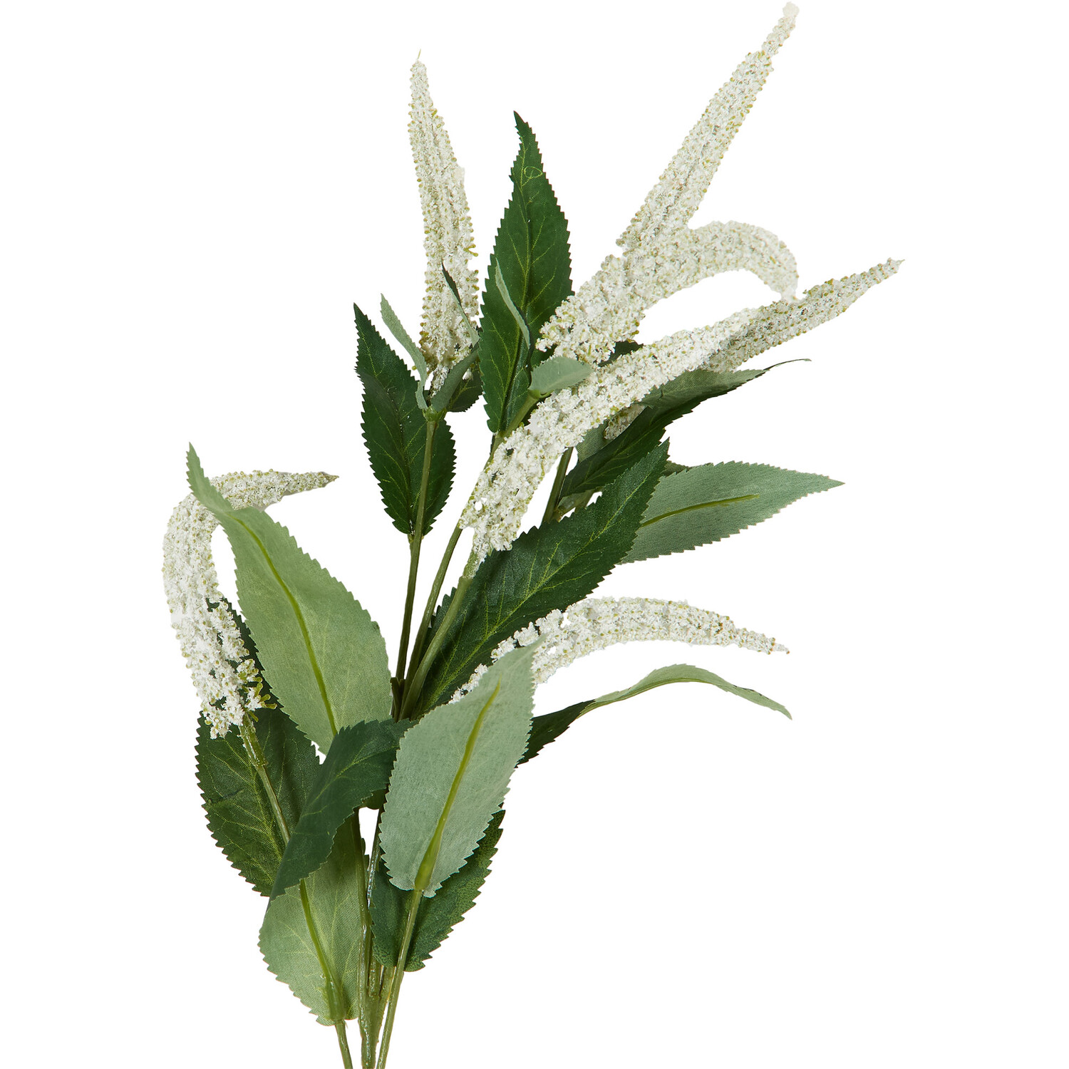 Salvia Spray Image 4