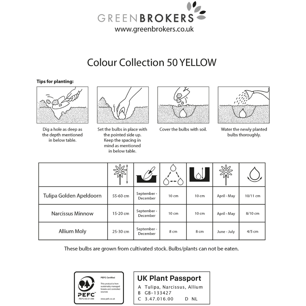 GreenBrokers Dutch Yellow Colour Bee Friendly Mixed Collection Planting Bulb 50 Pack Image 3