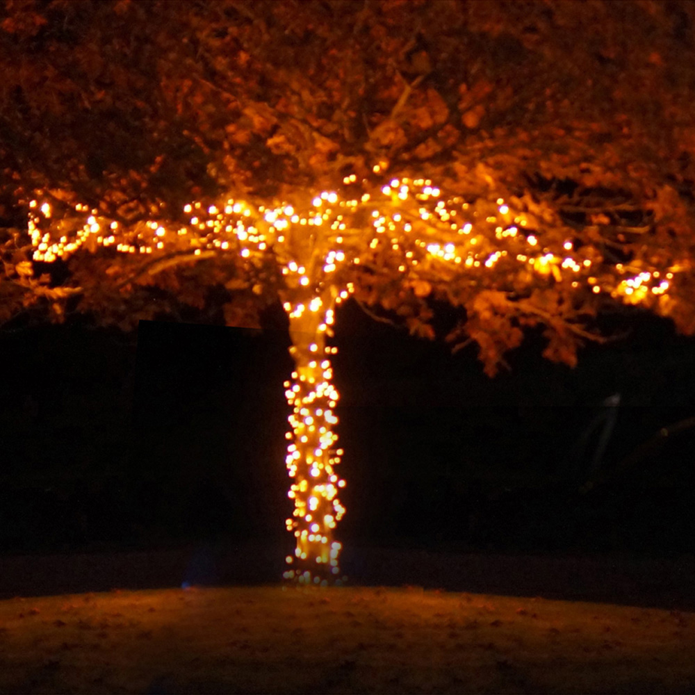 Eagle Connect 1250 Gold LED Black Cluster Light 25m Image 4