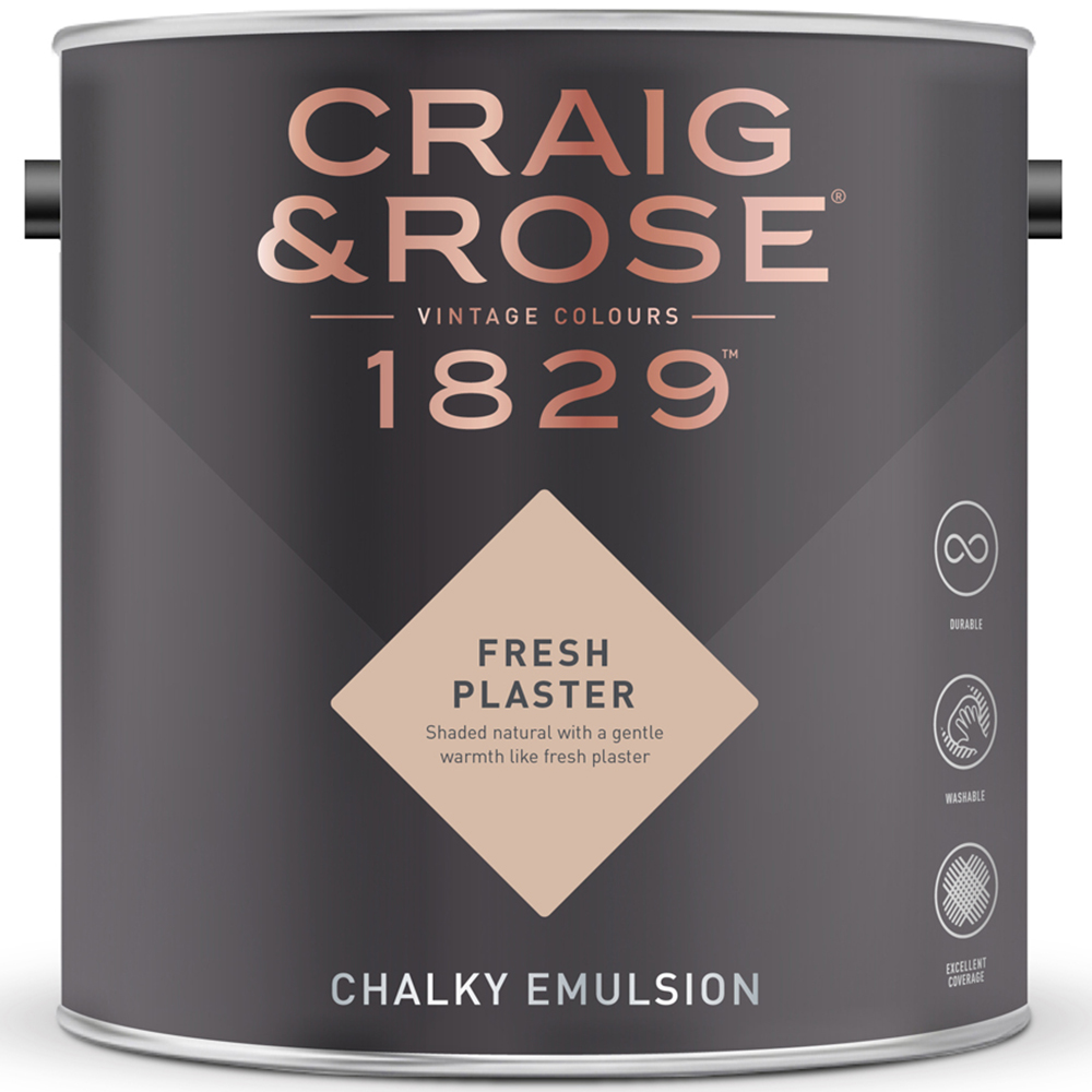 Craig & Rose Walls and Ceilings Fresh Plaster Chalky Emulsion Paint 5L Image 2