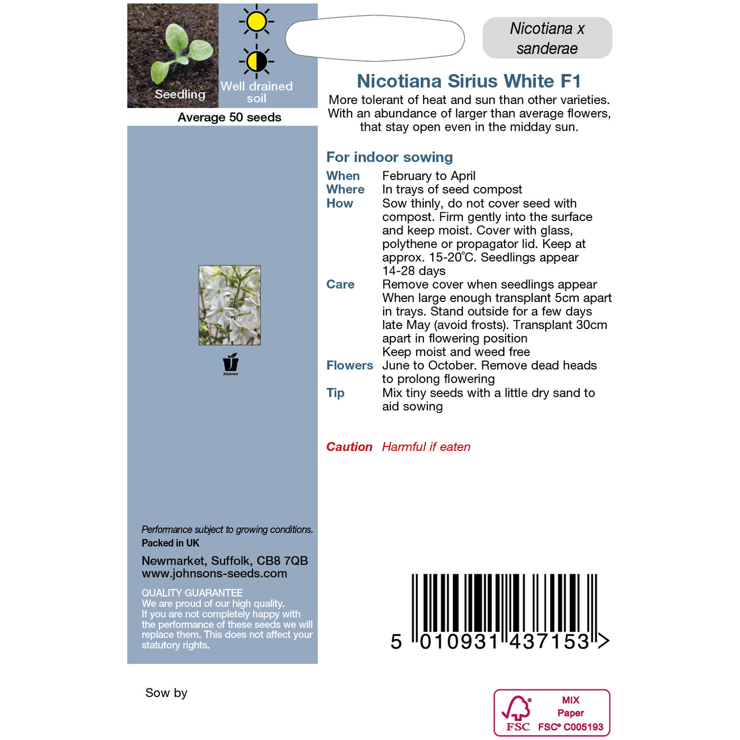 Johnsons Nicotiana Sirius White F1 Flower Seeds - White Image 2