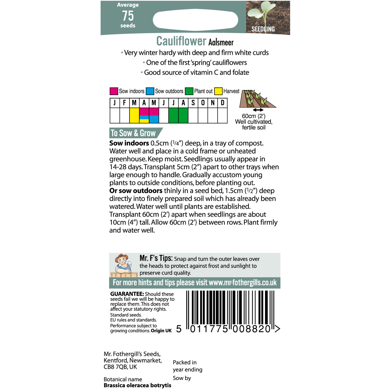 Aalsmeer Cauliflower Seeds Image 2