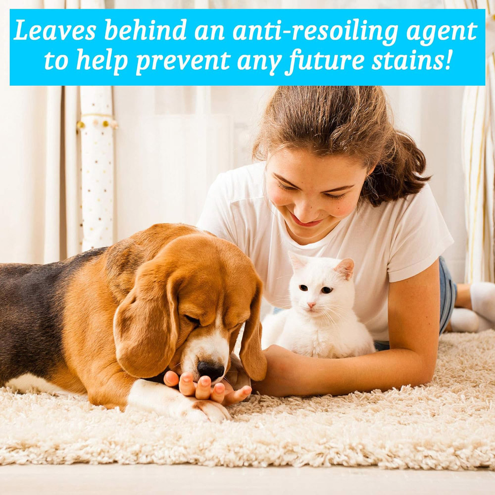 Homefront Pet Carpet Shampoo 5L Image 4