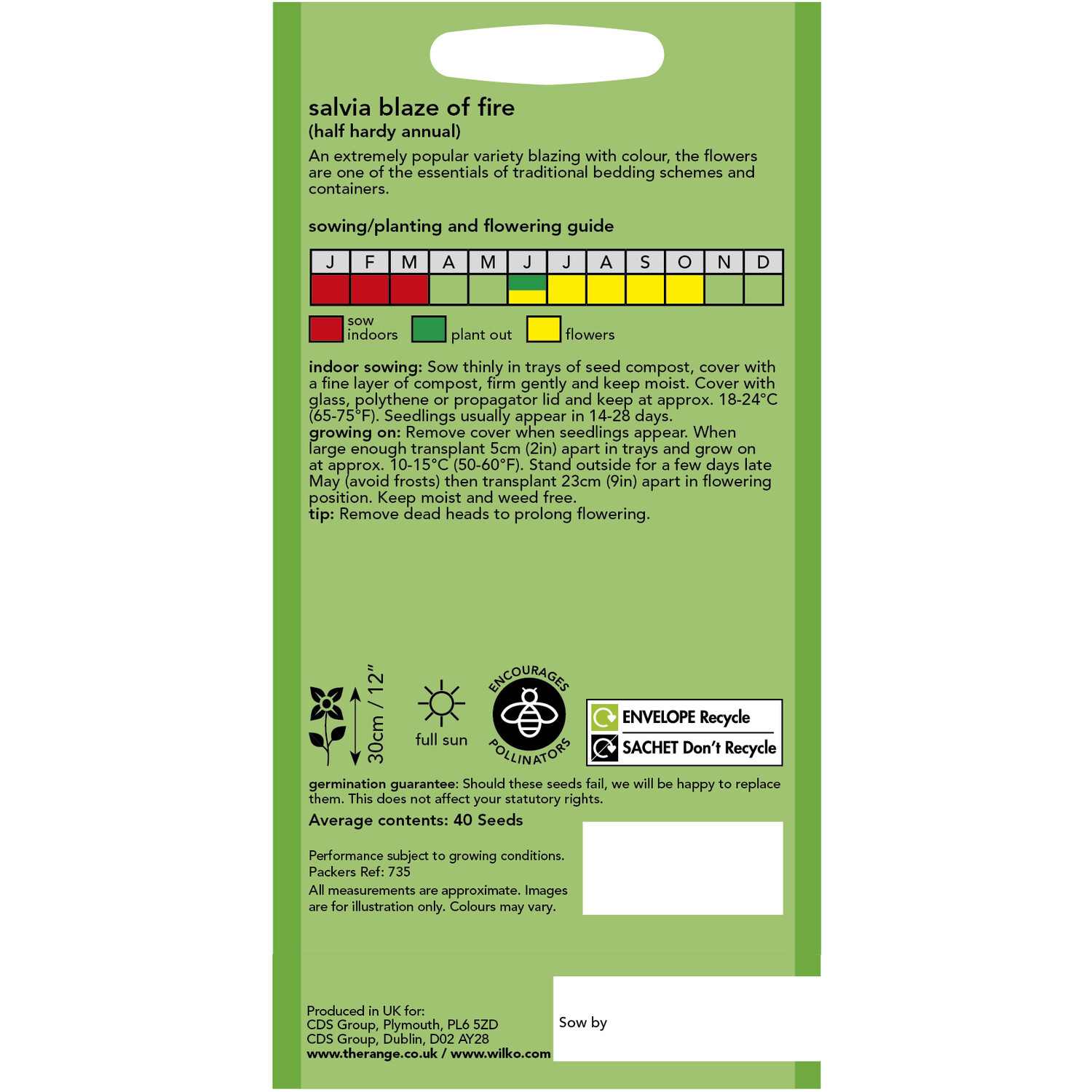 Wilko Salvia Blaze of Fire Seeds Image 2