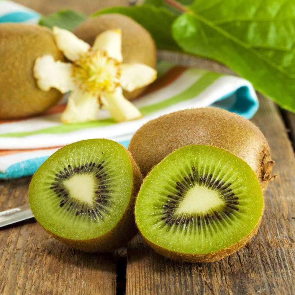 Thompson & Morgan Kiwi Growers Choice Plant Pot 2L 2 Pack Image 3