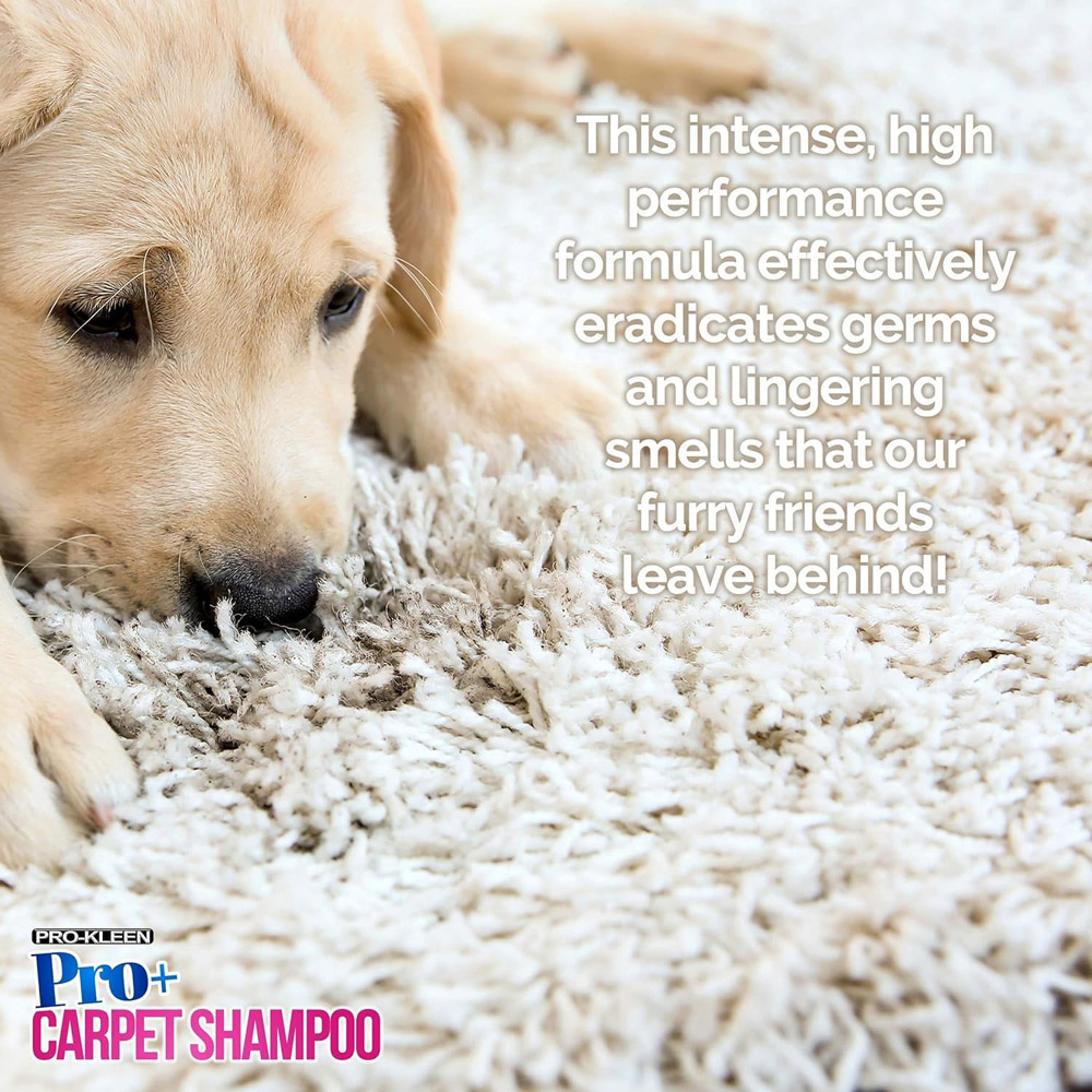 Pro-Kleen Pro Plus Lemon Fresh Pet Carpet Shampoo 5L Image 7