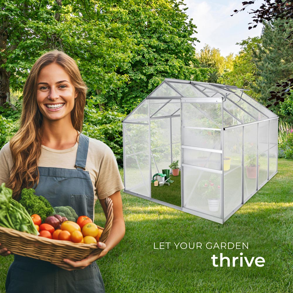 tectake Clear Aluminium 6 x 8.5ft Greenhouse Image 8