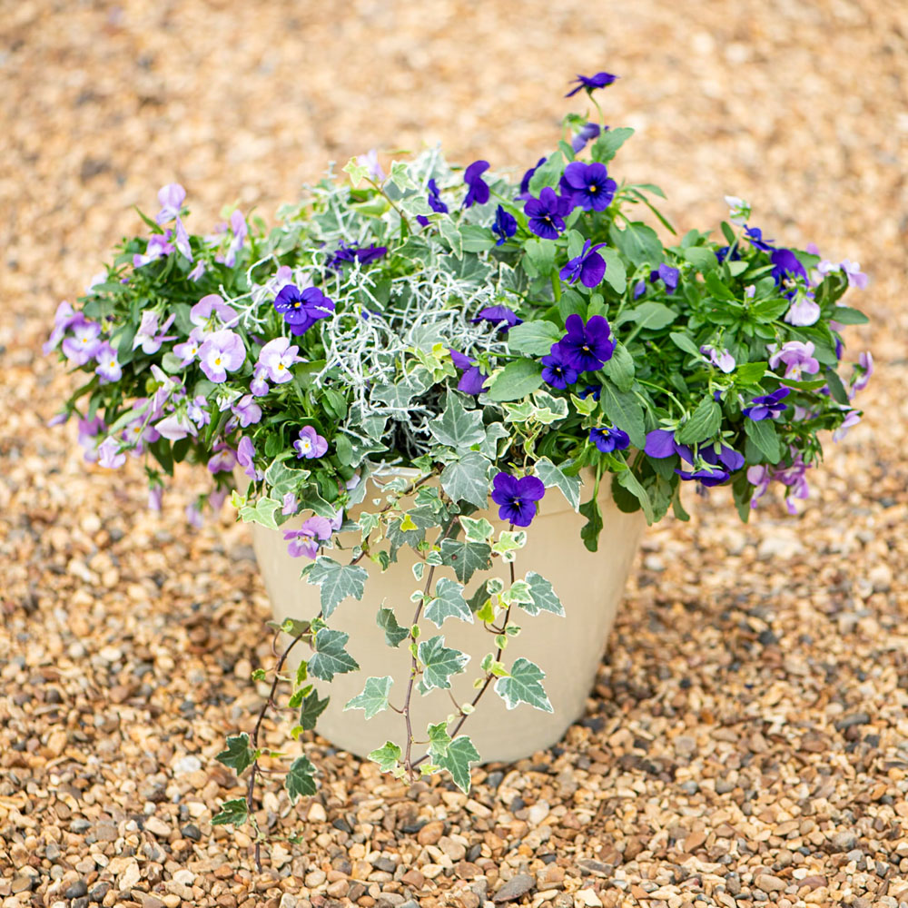Thompson and Morgan Lindos Stone Glazed Effect Planter 25.5cm 2 Pack Image 2