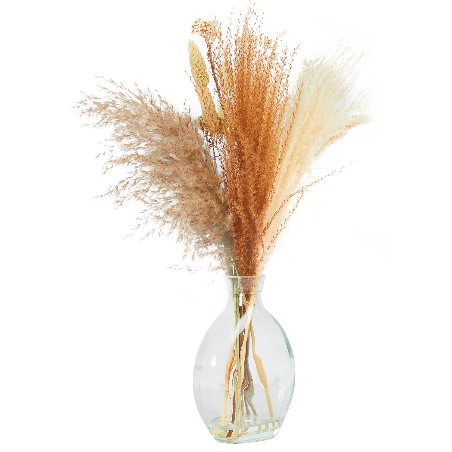 Dried Floristry Vase Arrangement Image 1